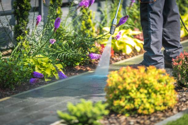 Best Sidewalk and Walkway Pressure Cleaning in Glendale, OH